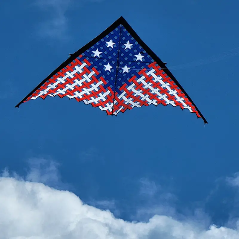 11 Ft. Mesh Delta - Patriotic 1