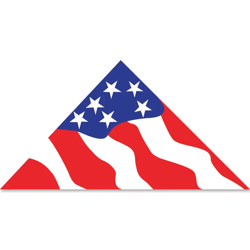 19 Ft. Delta Kite - Patriotic 1