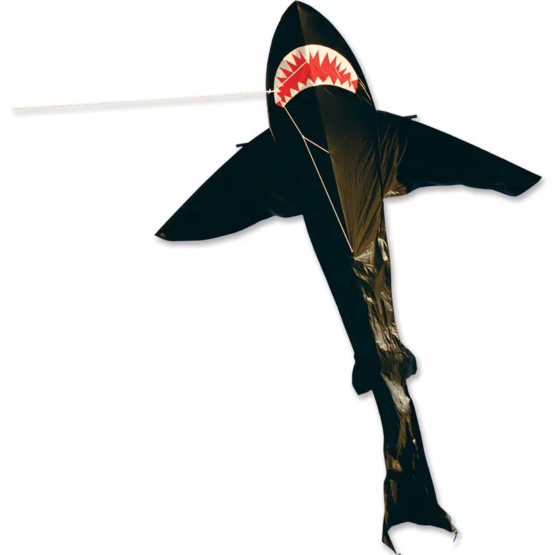 21 Ft. Black Shark Kite 1