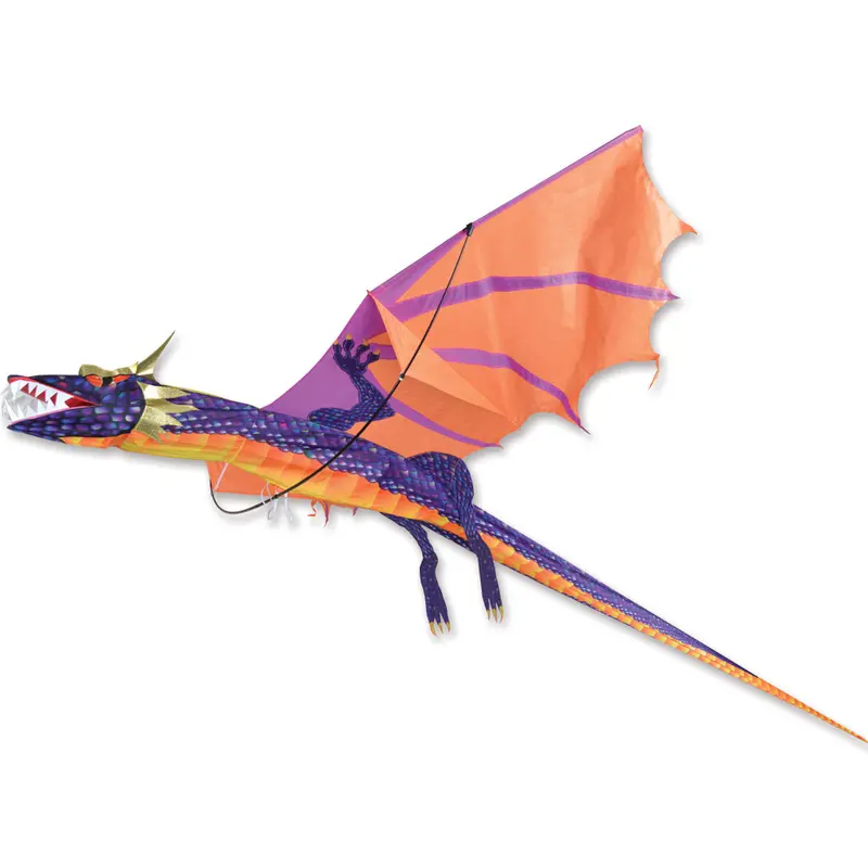 3D  Large Dragon Kite - Sunset 1