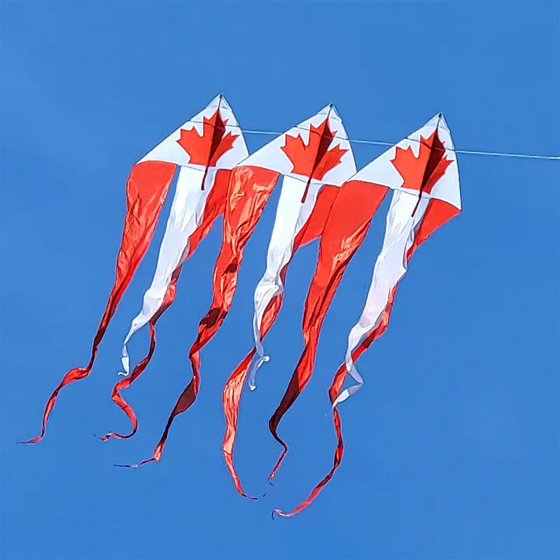 46 In. Flo-Train Delta Kite - Canada Flag (3-Pack Kite Bundle) 1