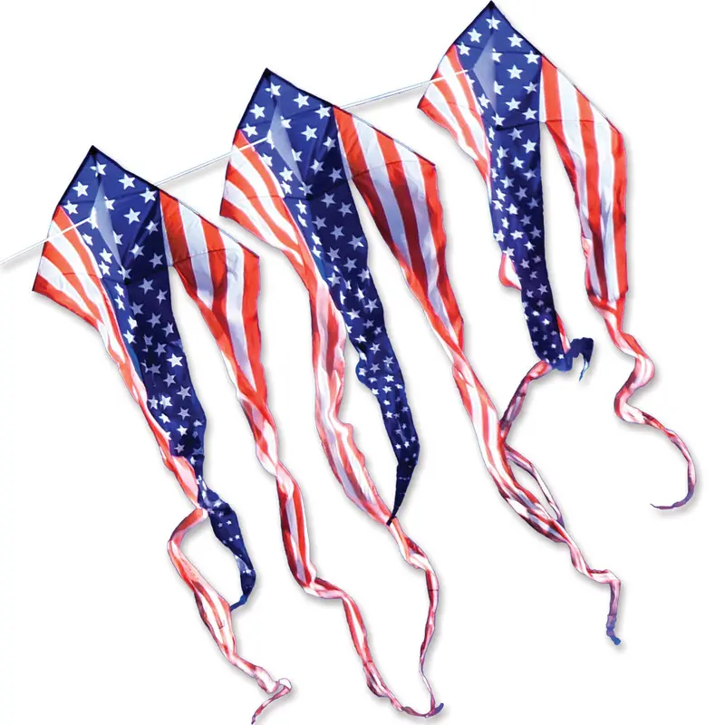 46 In. Flo-Train Delta Kite - Patriotic (3-Pack Kite Bundle) 1