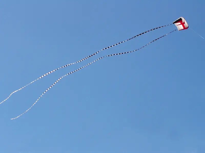 5 In. X 100 Ft. Transition Tail - Black/White 1