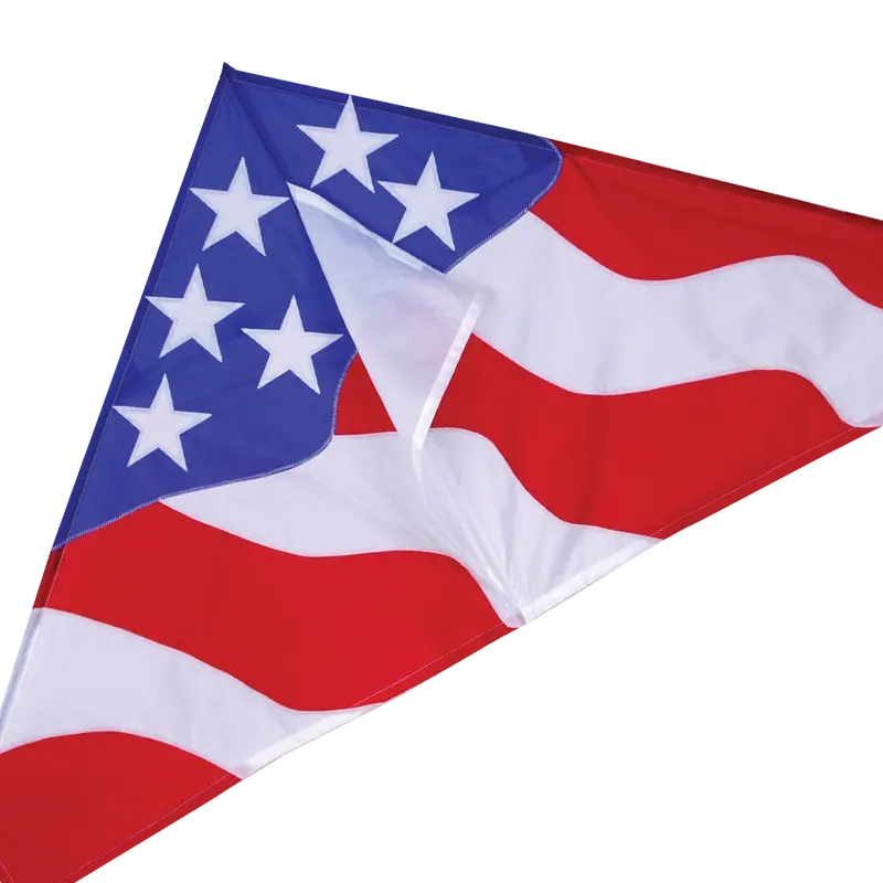 56 In. Delta Kite - Patriotic 1