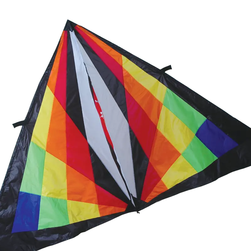 9 Ft. Delta Kite - Teknacolor 1