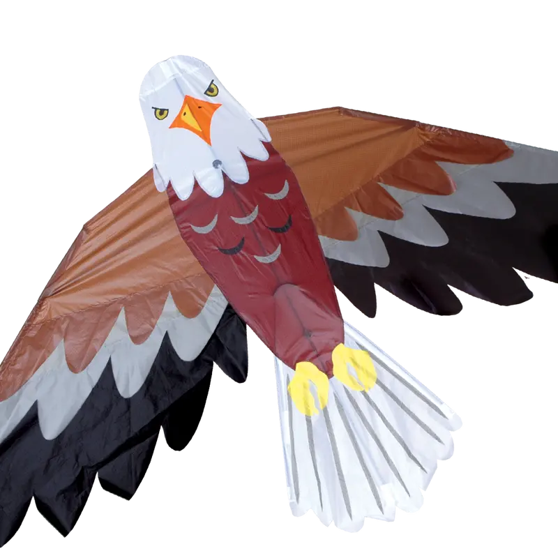 Bald Eagle Kite 1