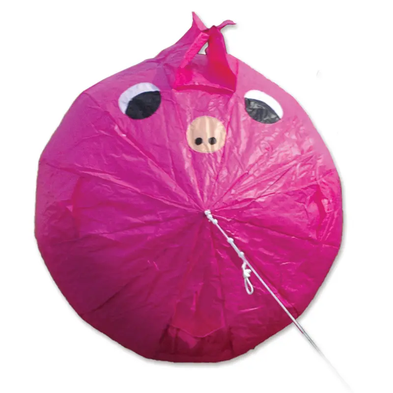 Bouncing Ball - Pig 1