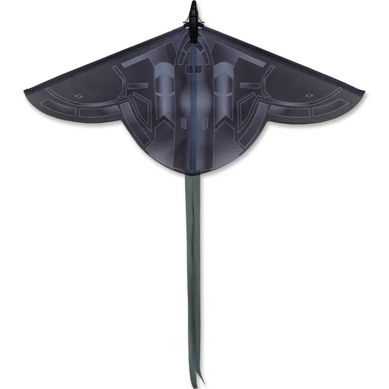 Catapult Glider - Stealth 1