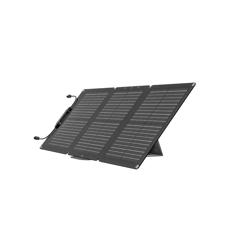 Ecoflow 60W Portable Solar Panel (Type-C ) 1