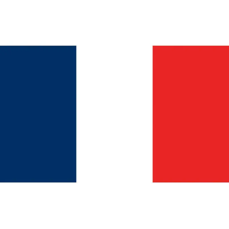 Flag Kite - France 1