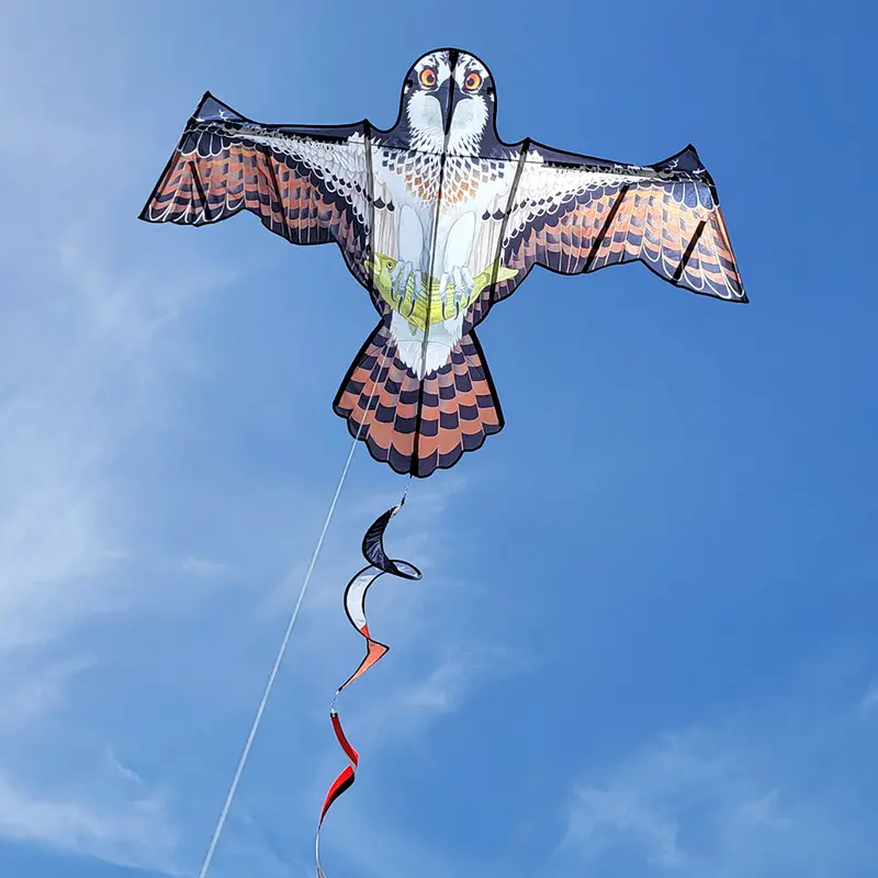 Flapping Bird Kite - Osprey 1