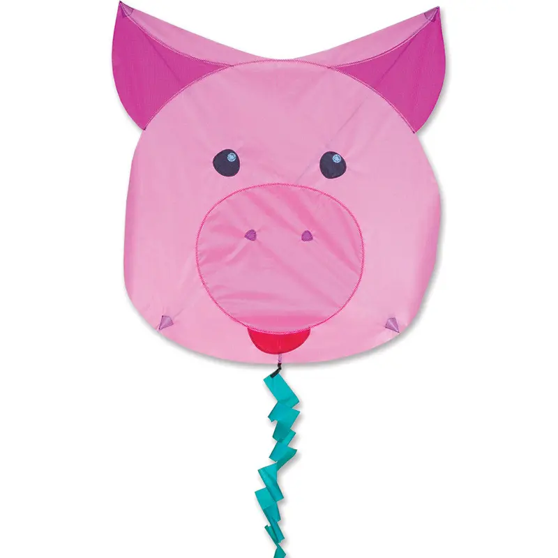 Fun Flyer Kite - Pig 1