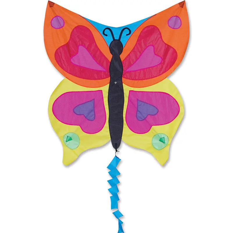 Fun Flyer Kite - Rainbow Butterfly 1