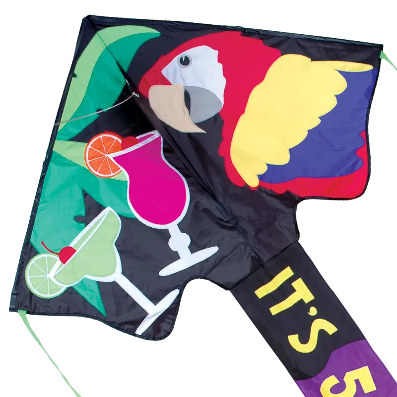 Jumbo Easy Flyer Kite - 5 O' Clock 1