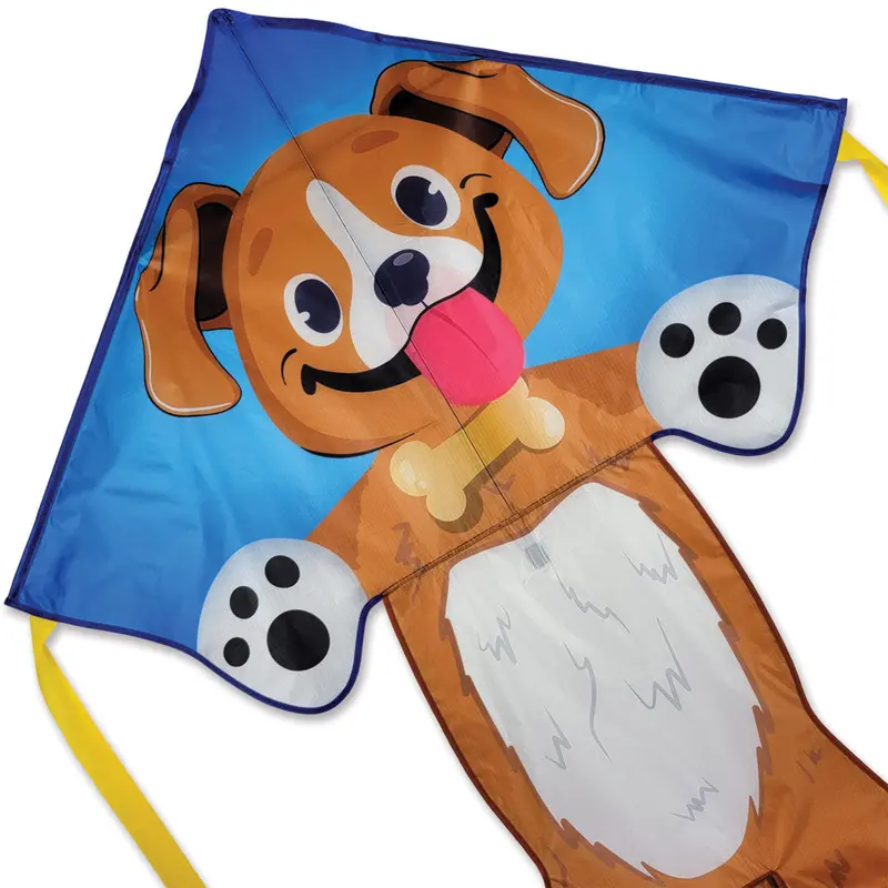 Large Easy Flyer Kite - Buddy 1