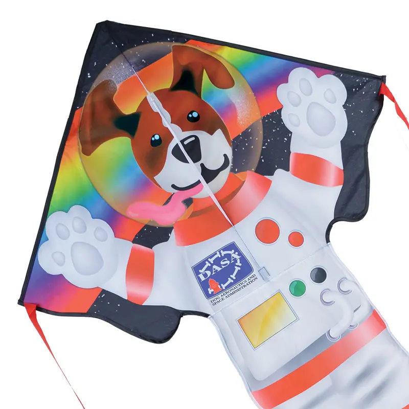 Large Easy Flyer Kite - Dog Side Of The Moon 1