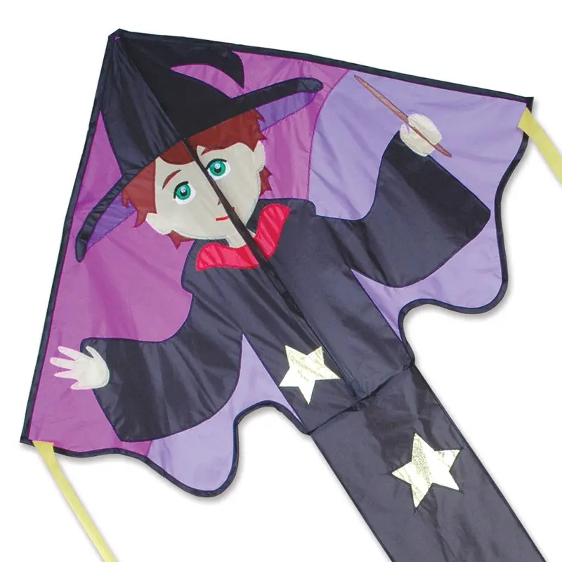 Large Easy Flyer Kite - Ned Wizard 1