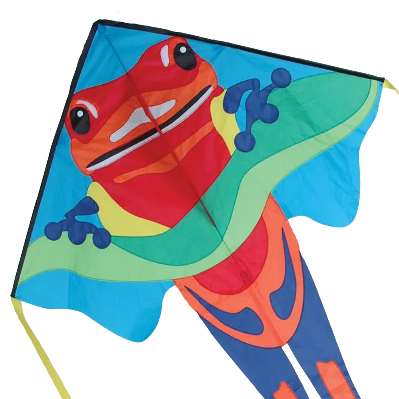 Large Easy Flyer Kite - Poison Dart Frog 1