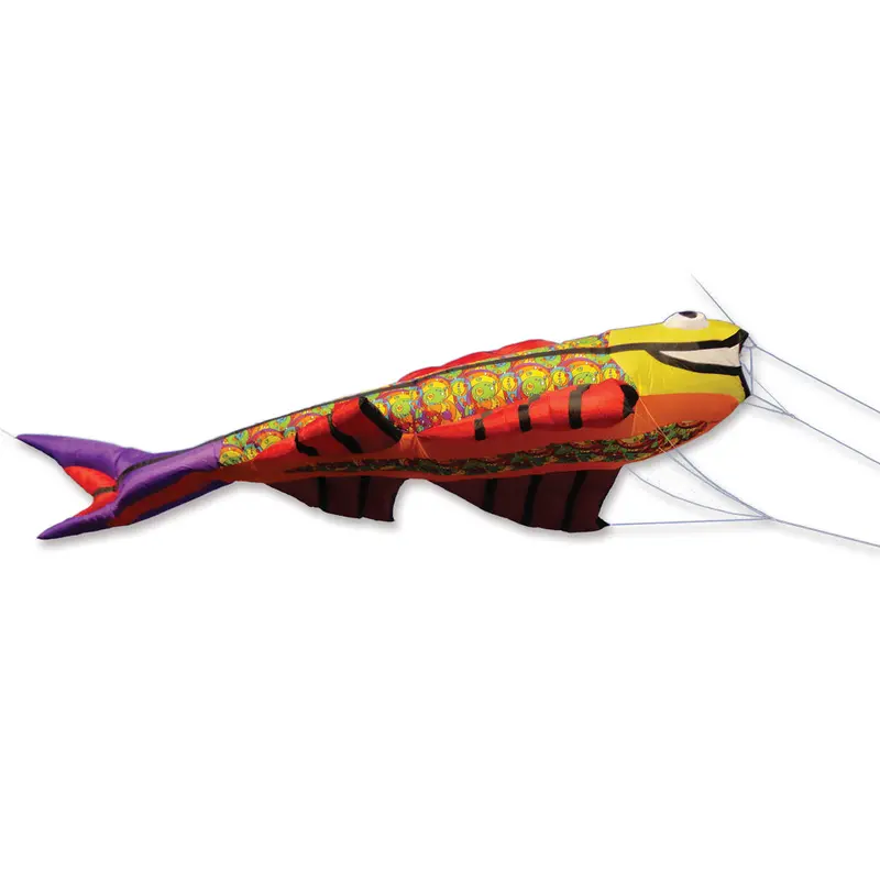 Mega Flying Fish Kite - Rainbow Orbit 1