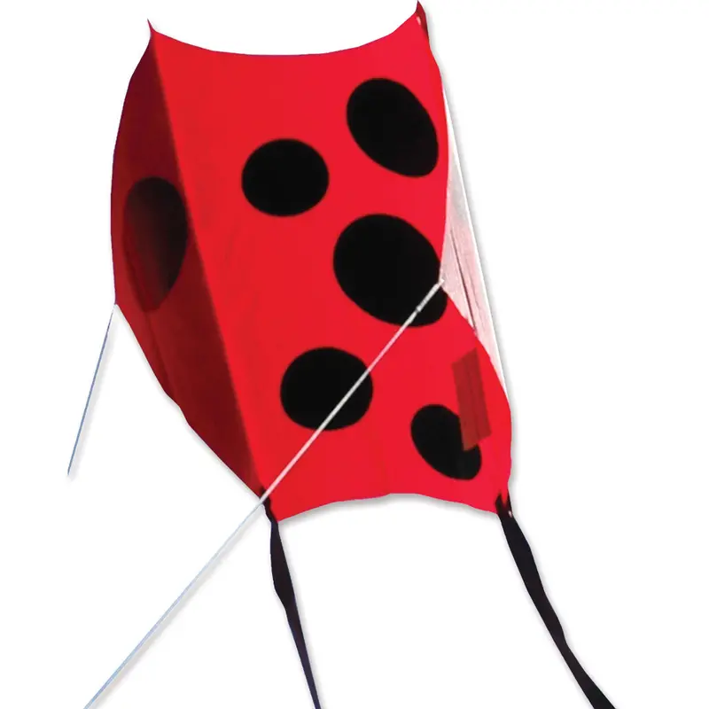 Mini Sled - Ladybug 1
