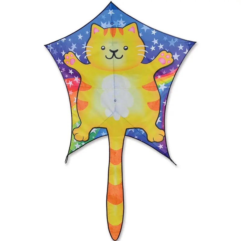 Penta Kite - Chubby Cat 1