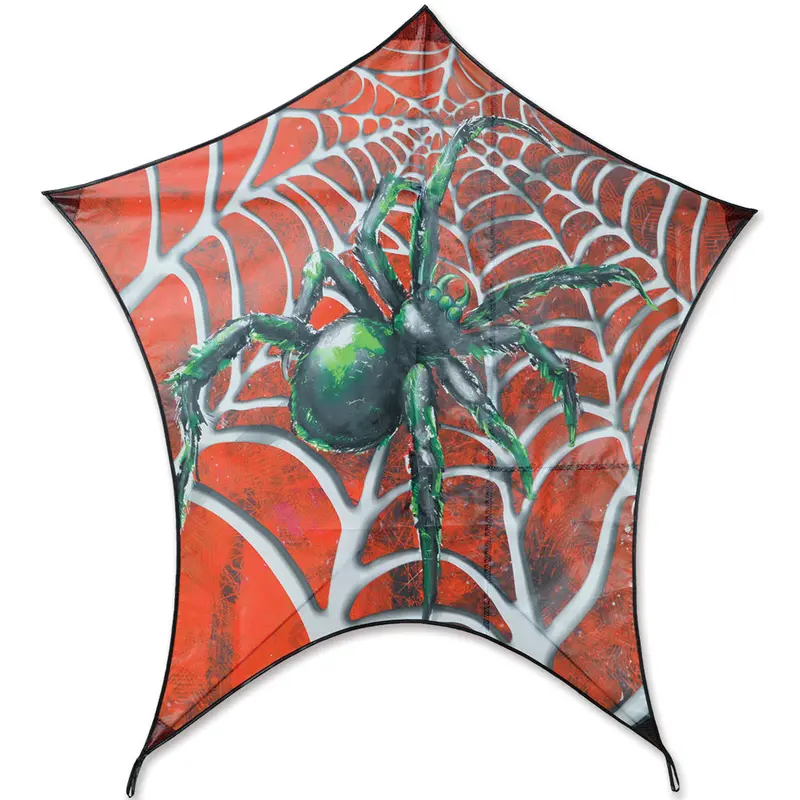 Penta Kite - Spider 1