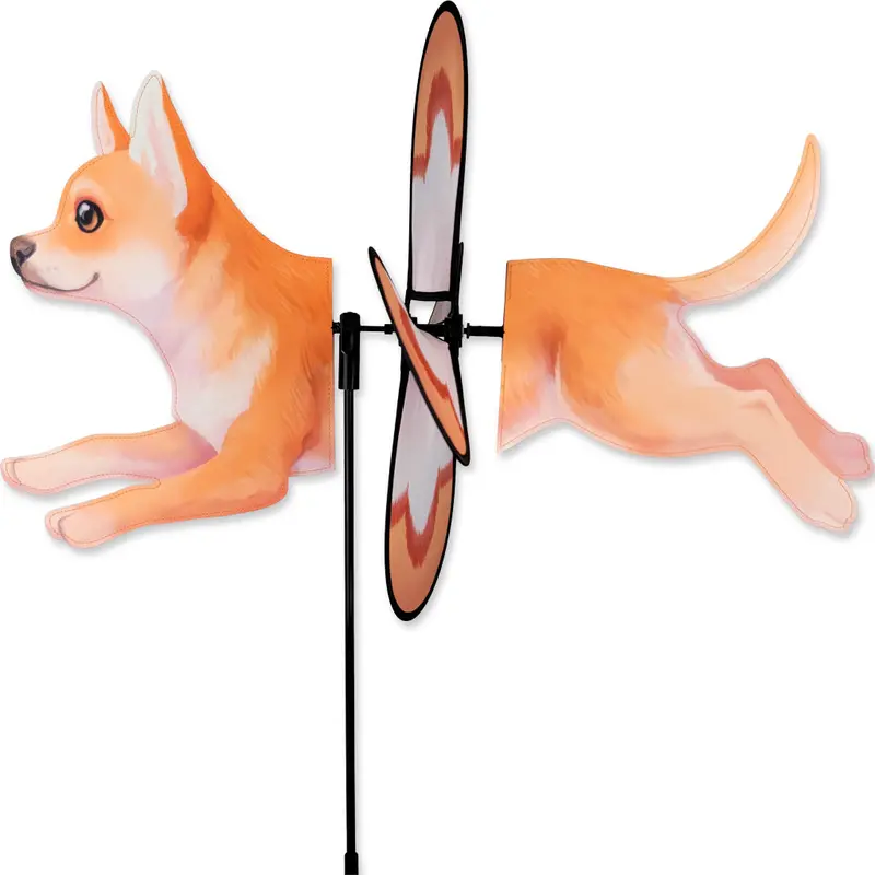Petite Spinner - Chihuahua 1