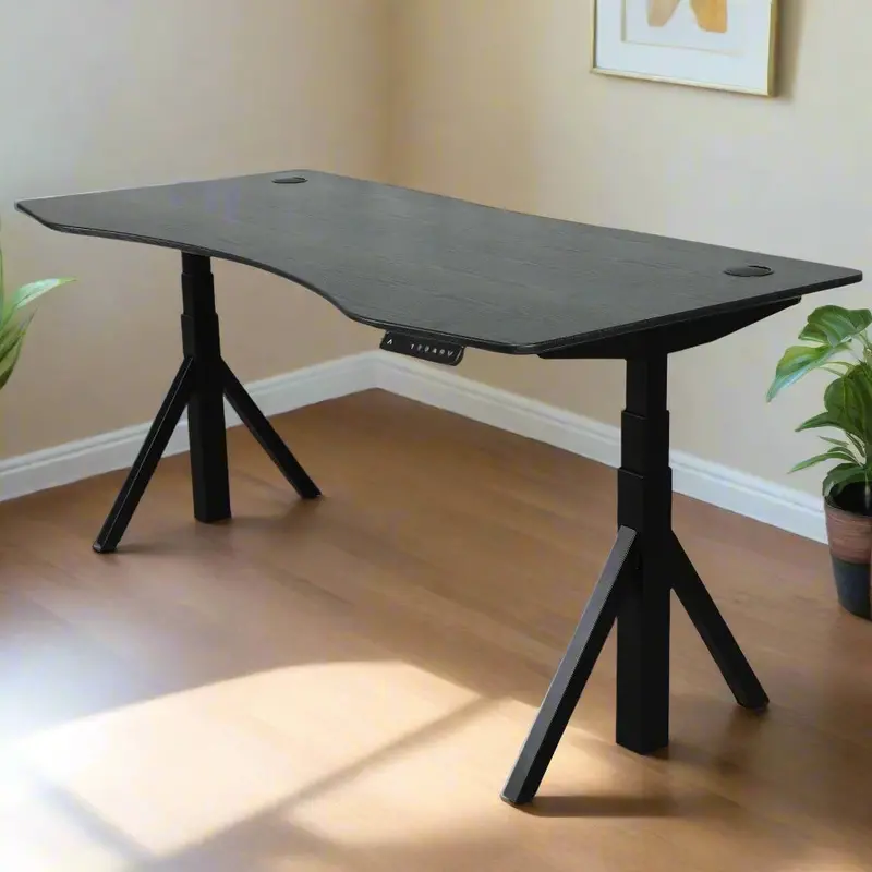 Quattro Series 60" Electric Standing Desk With Curved Top 1