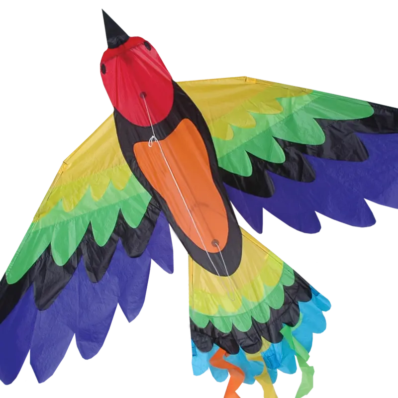 Rainbow Bird Kite 1