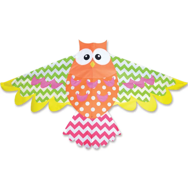 Rainbow Owl Kite 1