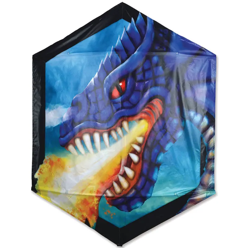 Rokkaku Kite - Fierce Dragon 1