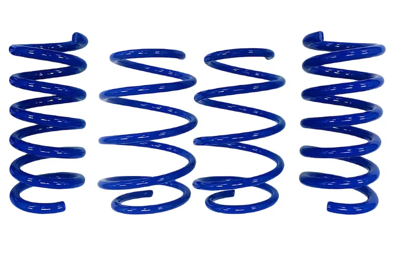 Steeda Mustang Gt Magneride Drag Springs - Linear (2015-2024) 1