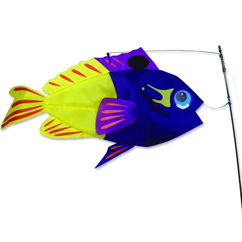 Swimming Fish - Fairy Basslet 1