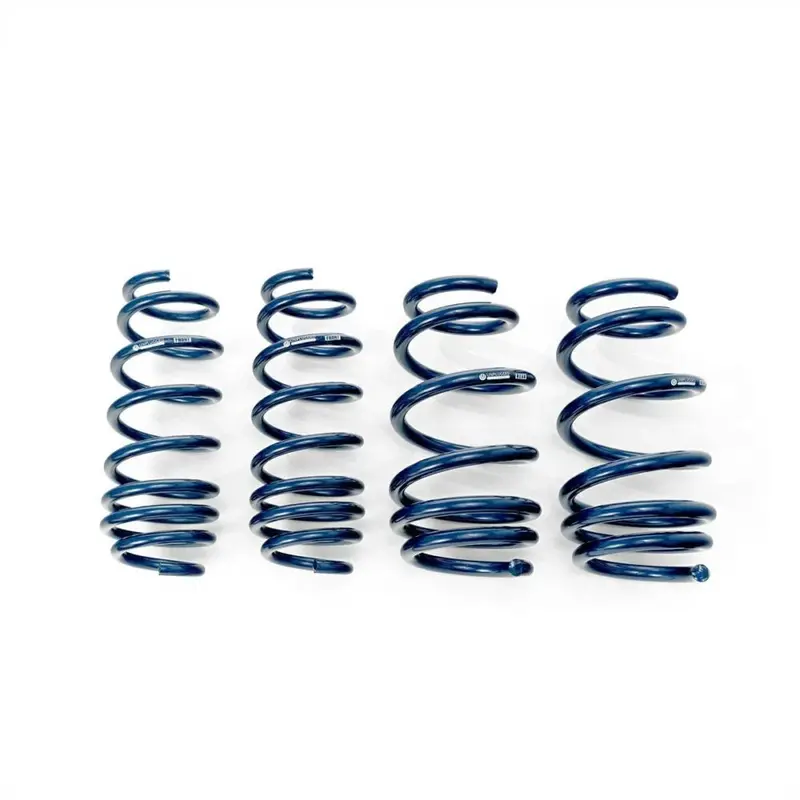 Unplugged Performance - Dual Rate Linear Lowering Spring Set - Tesla Model 3 1
