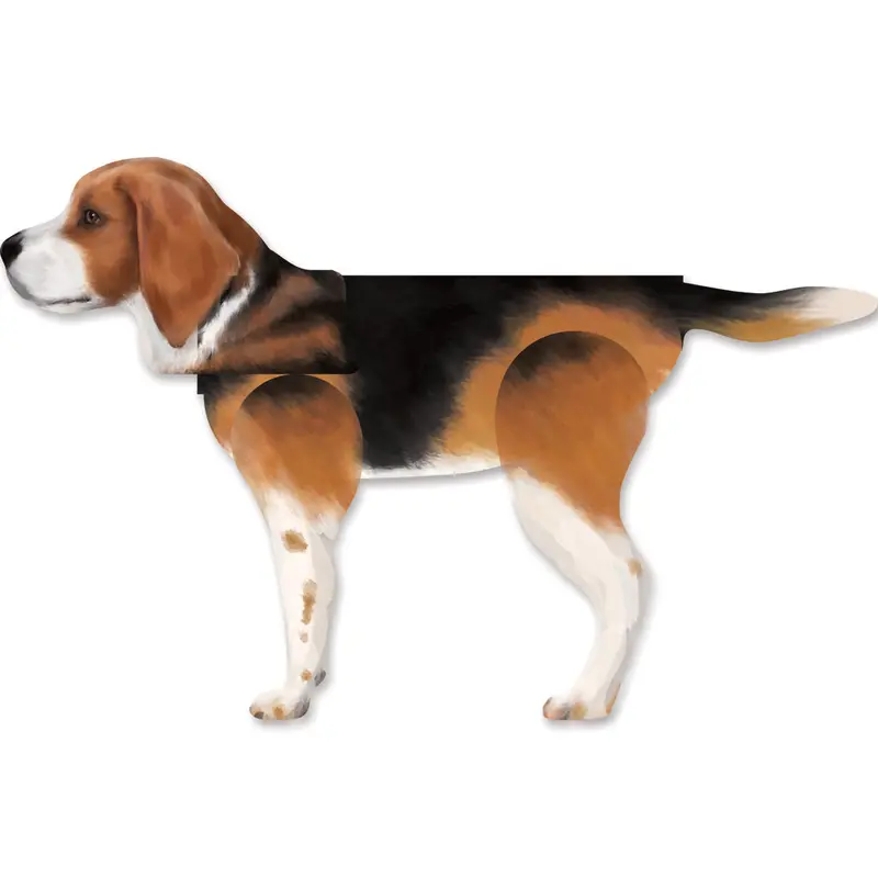Xl Windicator Weather Vane - Beagle 1