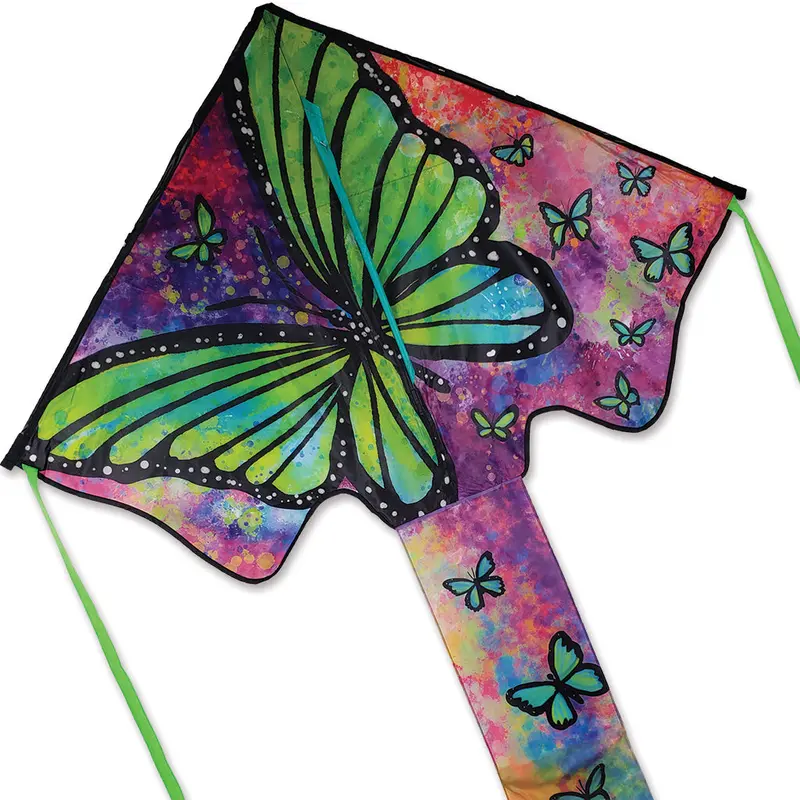 Zephyr Kite - Green Butterfly 1