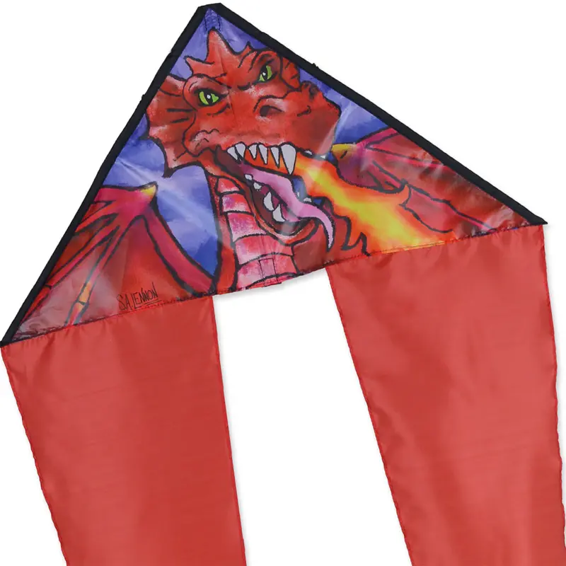 Zippy Flo-Tail Delta Kite - Dragon 1